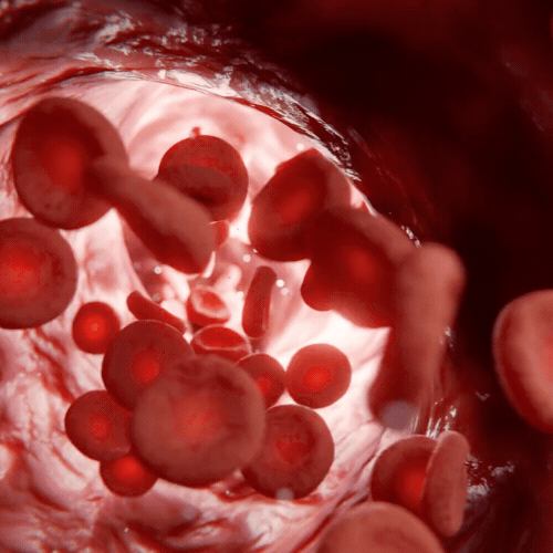 Blood Flow Begins Improving